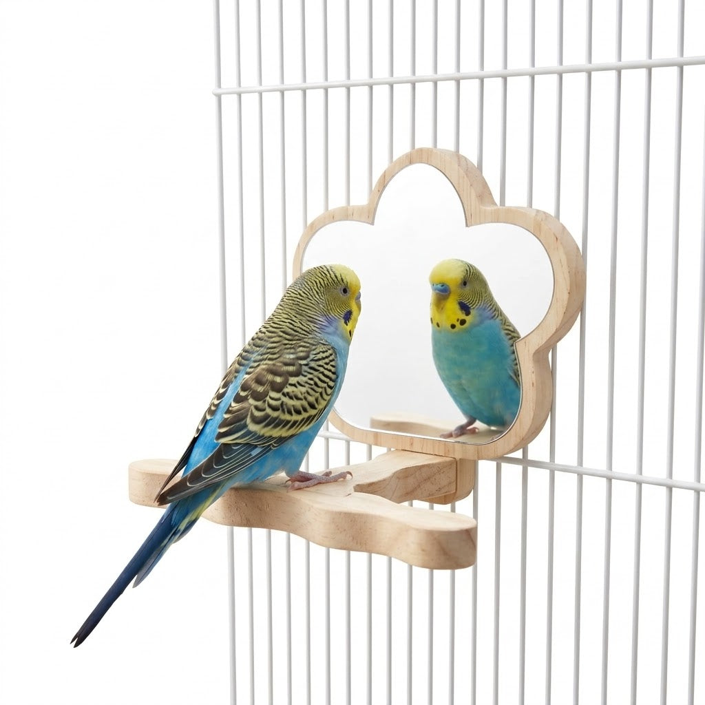 Bird Supplies