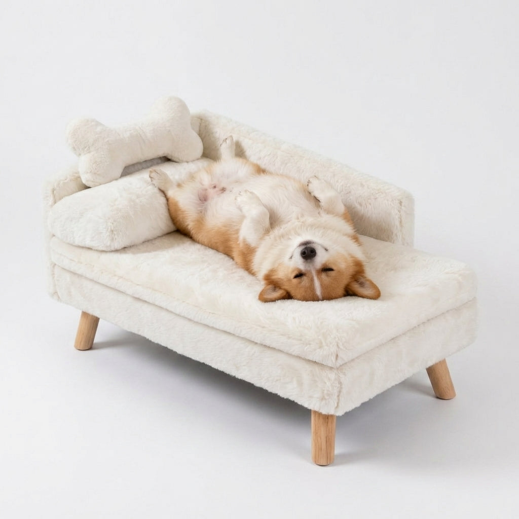 Pet Beds, Carriers & Houses