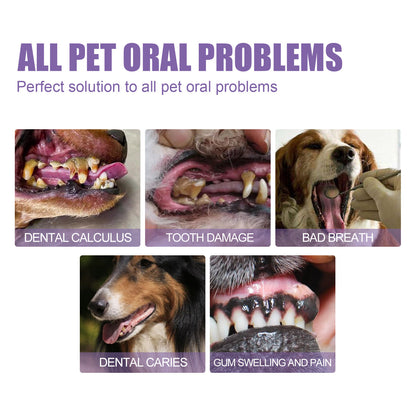 Pet Oral Care Gel