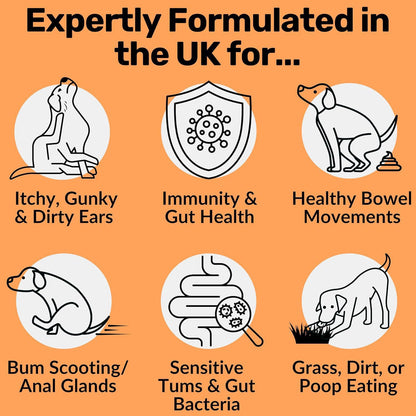 Dog Probiotic Soft Chewable Tablets for Intestinal Health