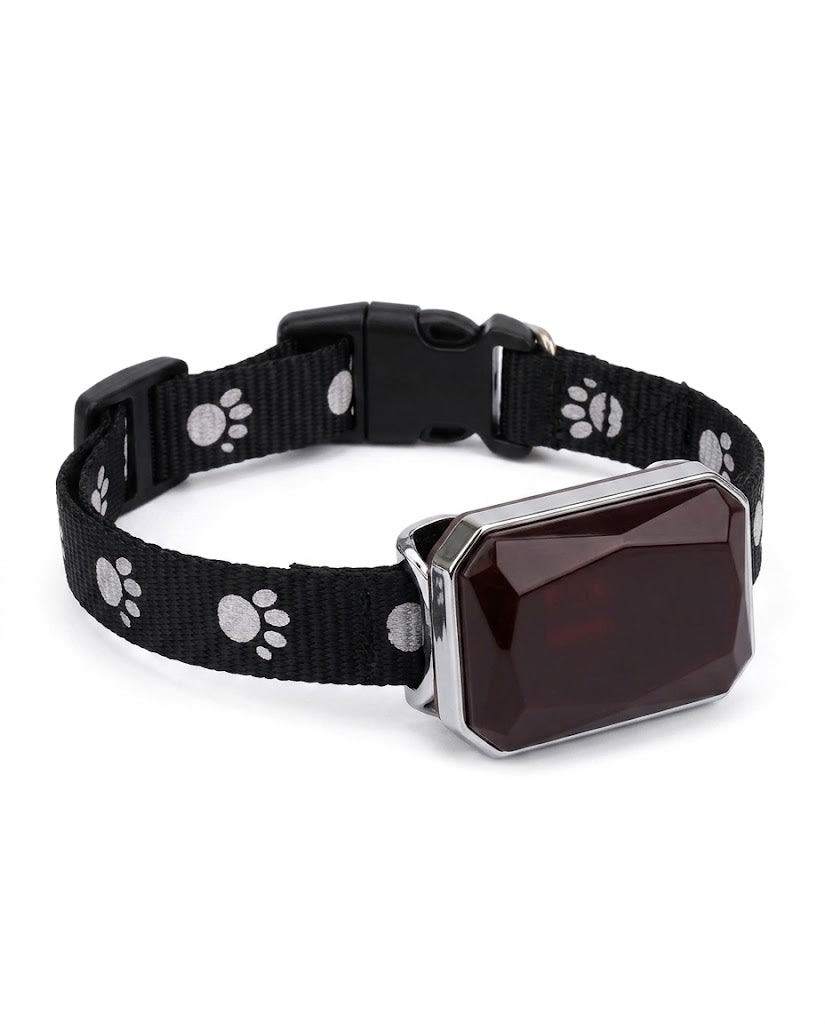 Pet Positioning Collar Beidou GPS Pet Locator Multifunctional Dog Tracker LBS Intelligent Tracking