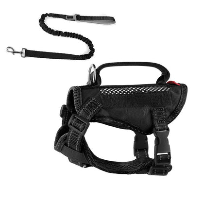 Adjustable Cat Harness with Leash