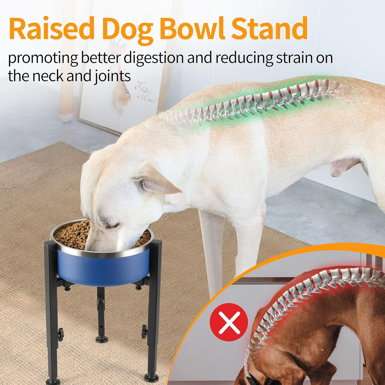 Adjustable Elevated Dog Bowl Stand