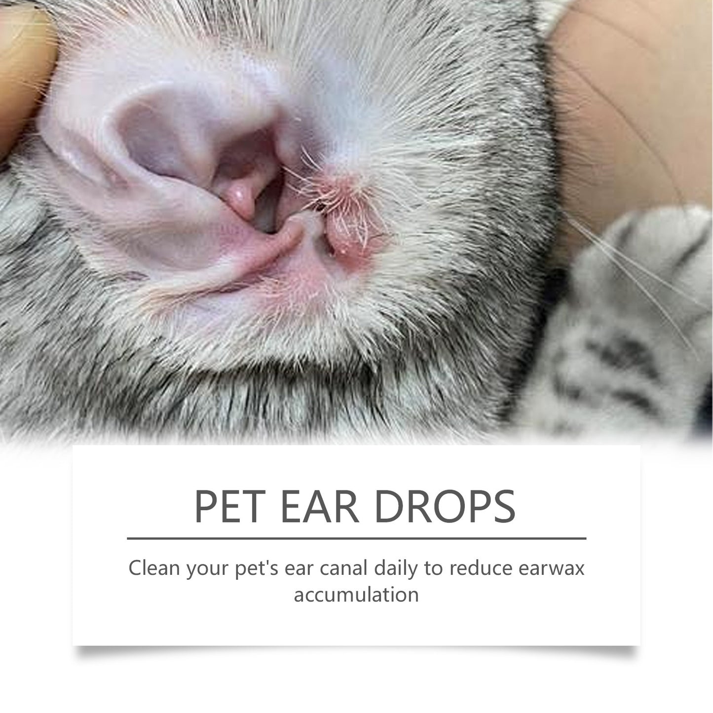 Pet Ear Cleaner for Dogs and Cats