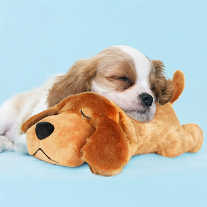 Dog calming toy