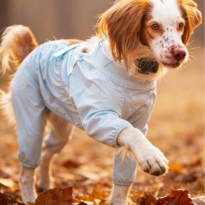 Dog Outdoor Dustproof Pants Four-Legged Waterproof Clothing