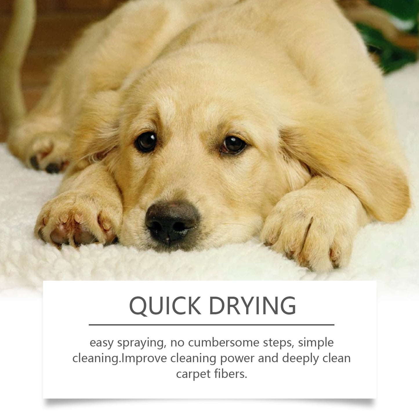 Pet Stain and Odor Eliminator Carpet Cleaner