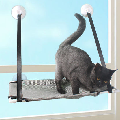 Suction cup mounted cat hammock on the window sill
