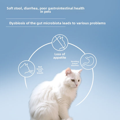 Dog Cat Probiotic Supplement for Digestion