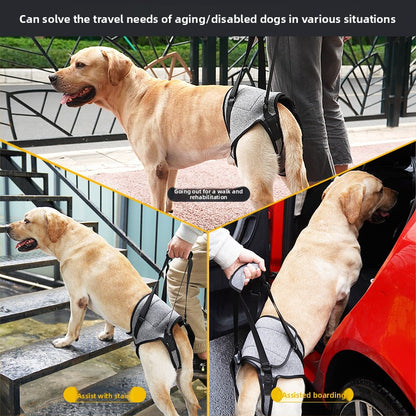 Dog Hindleg Support Strap Rehabilitation Traction