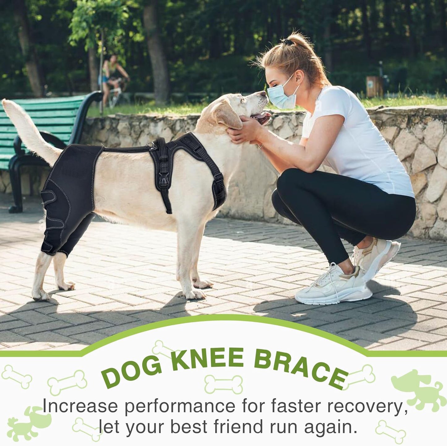 Adjustable Pet Leg Support Guard