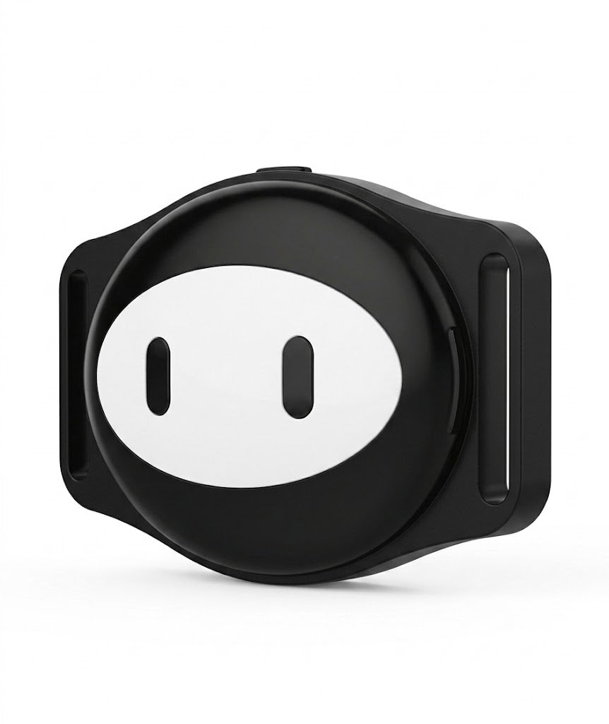 Version Of The Pet Dog And Cat Locator D79 Waterproof And Anti-lost Positioning Tracker GPS Tracker