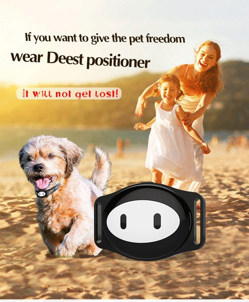 4890000049033