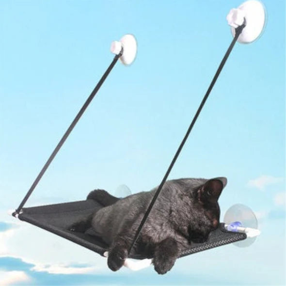 Suction cup mounted cat hammock on the window sill