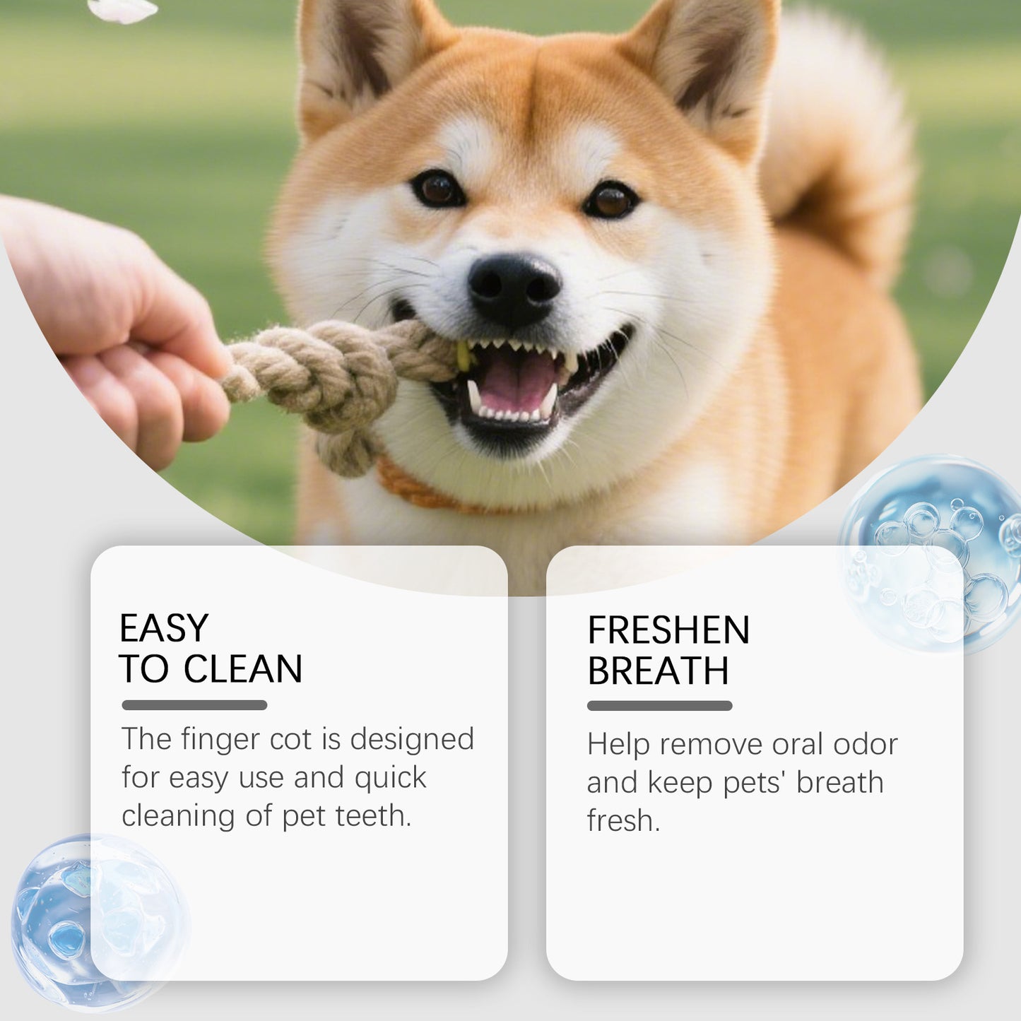 Pet Dental Cleaning Powder for Cats and Dogs