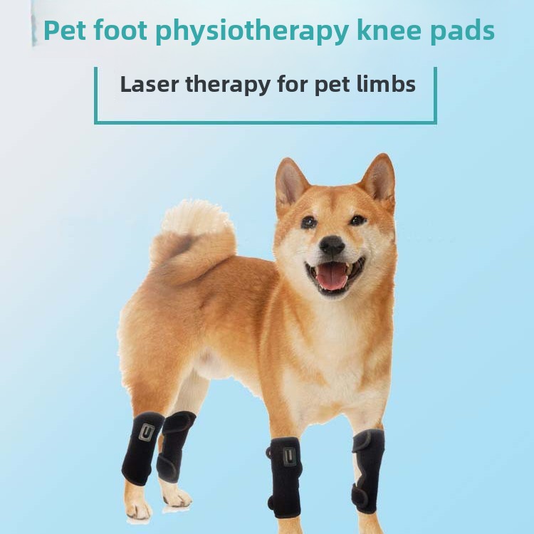 Pet Red Light Phototherapy Mat for Joint Relief