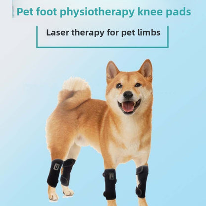 Pet Red Light Phototherapy Mat for Joint Relief