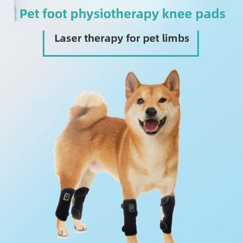 Pet Red Light Phototherapy Mat for Joint Relief