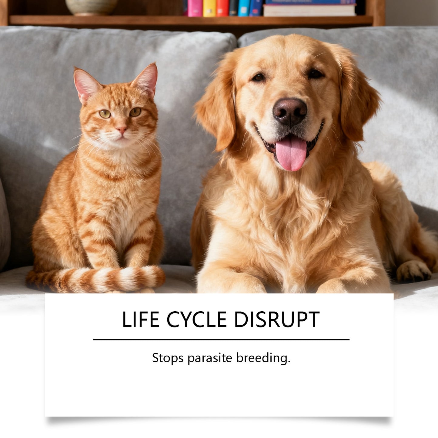 Pet Body Care Drops