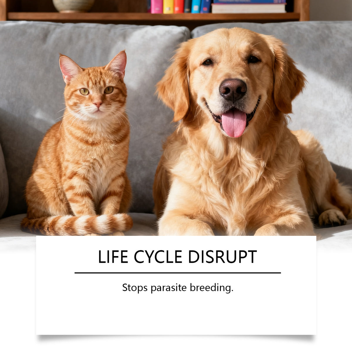 Pet Body Care Drops
