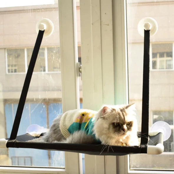Suction cup mounted cat hammock on the window sill