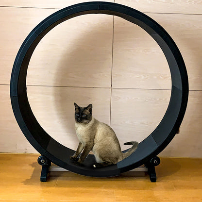 Silent Cat Treadmill with Claw Sharpener