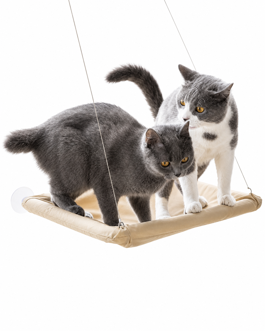 Cat Window Hammock with Suction Cups