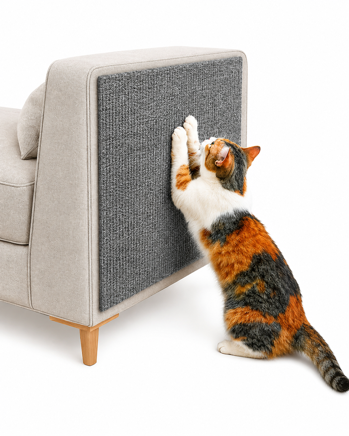 Cat Scratch Protection Wall Sticker