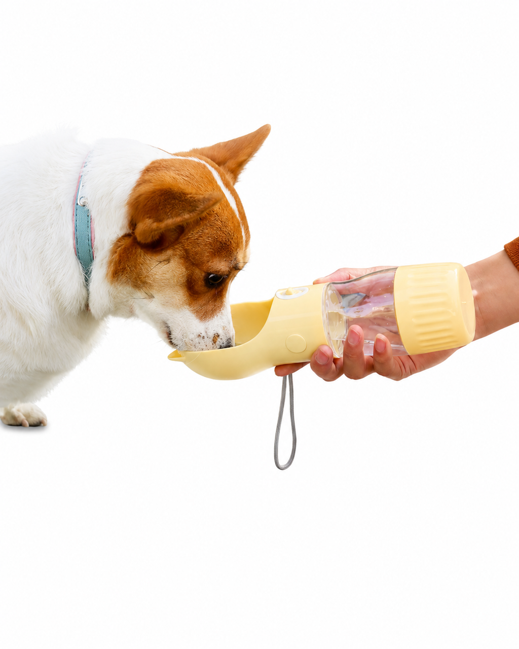 Portable Pet Water Drinking Cup