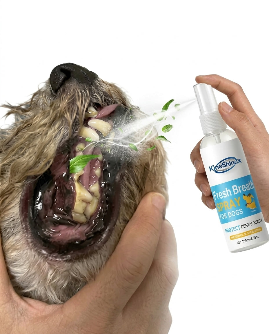 Pet Teeth Cleaning Oral Spray