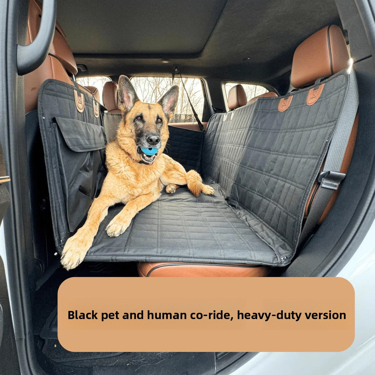 Car Pet Mat