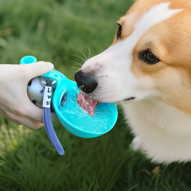 Foldable Portable Pet Water Bottle