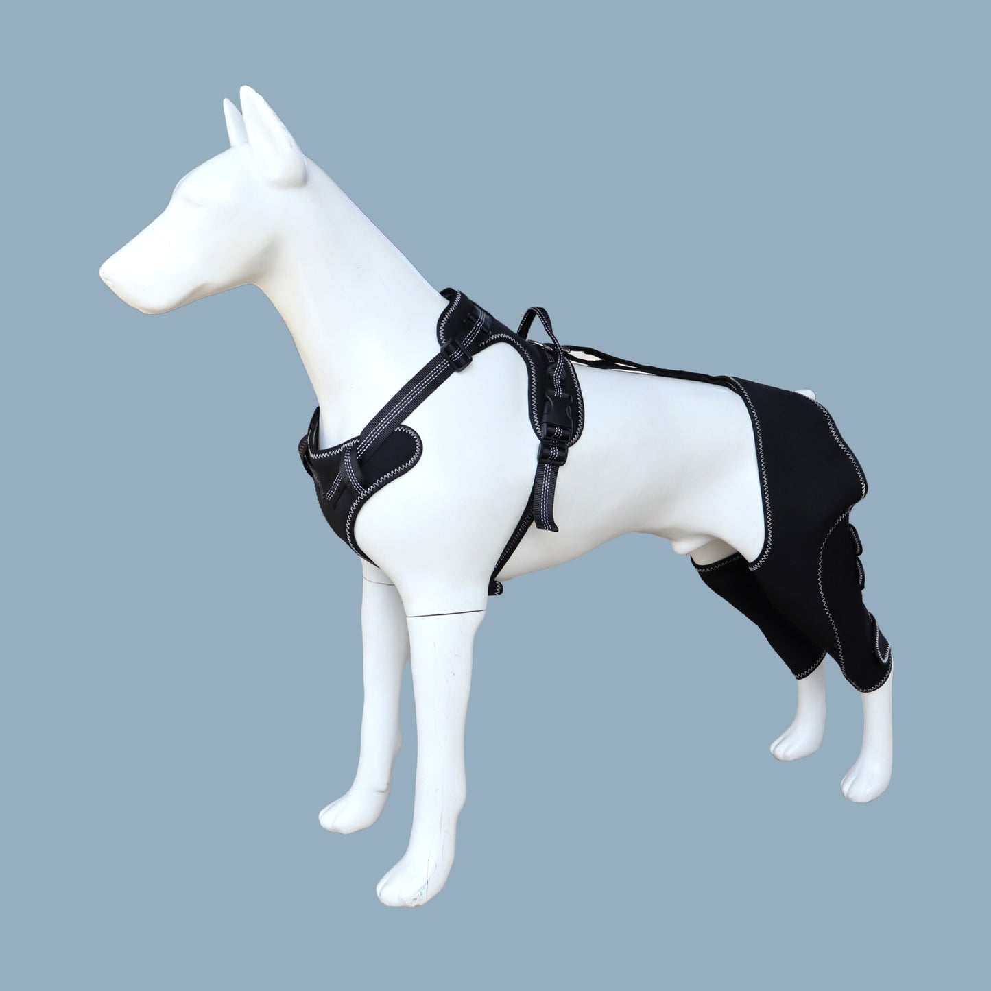Adjustable Pet Leg Support Guard