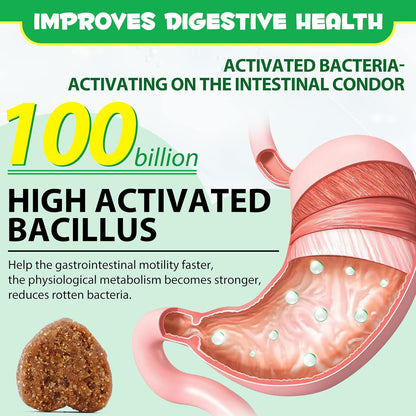 Pet Probiotic Chewable Tablets for Digestive Health