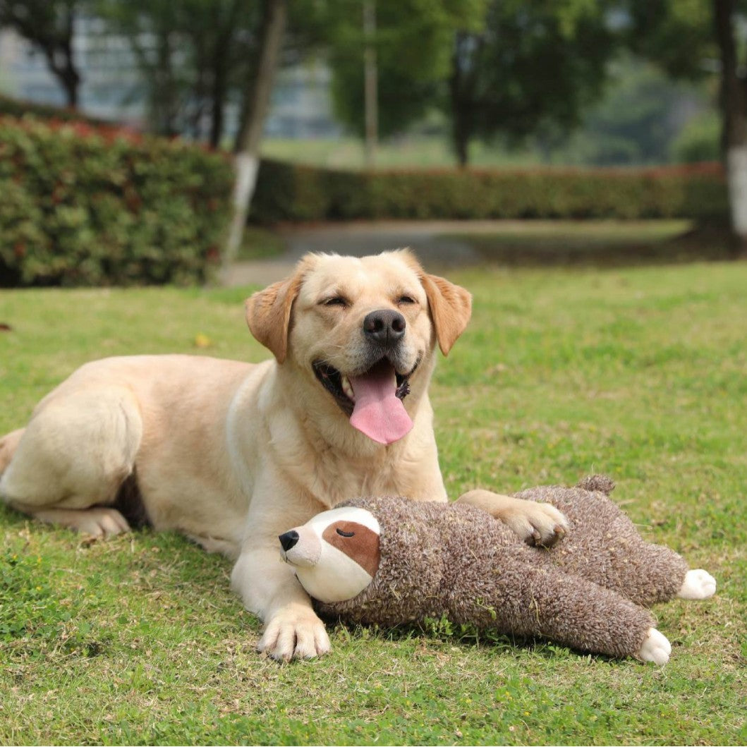 Plush pet toy