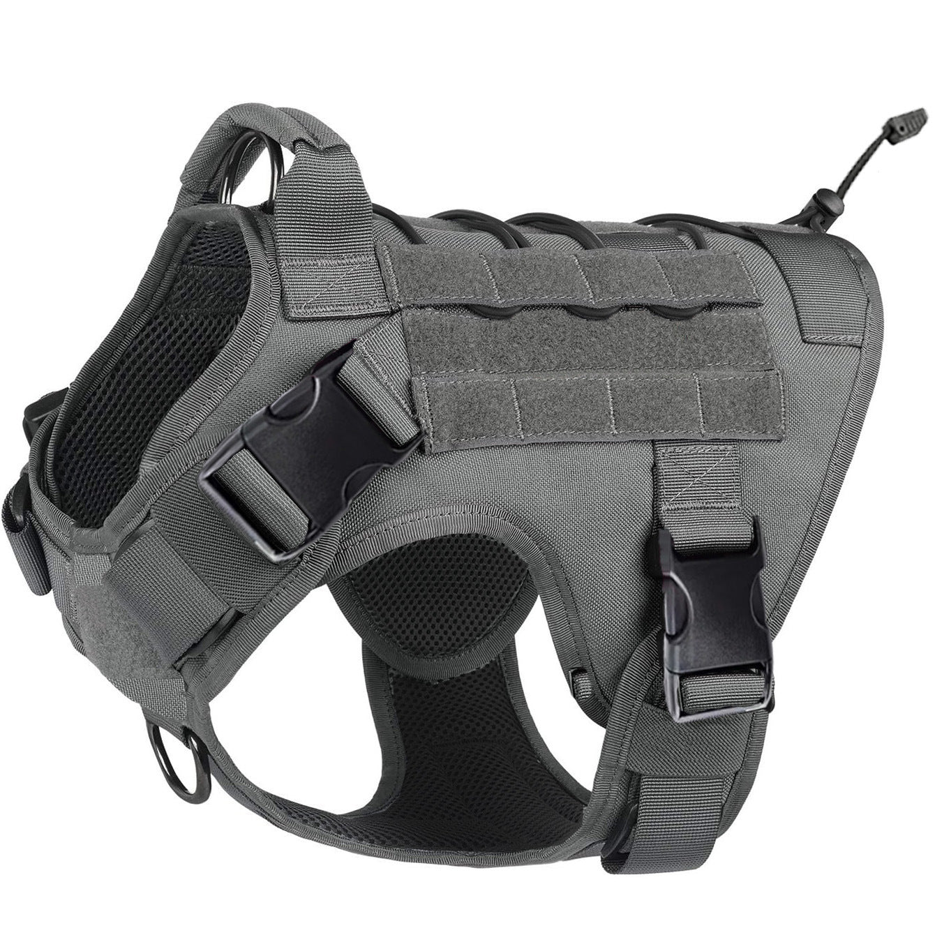 Pet harness