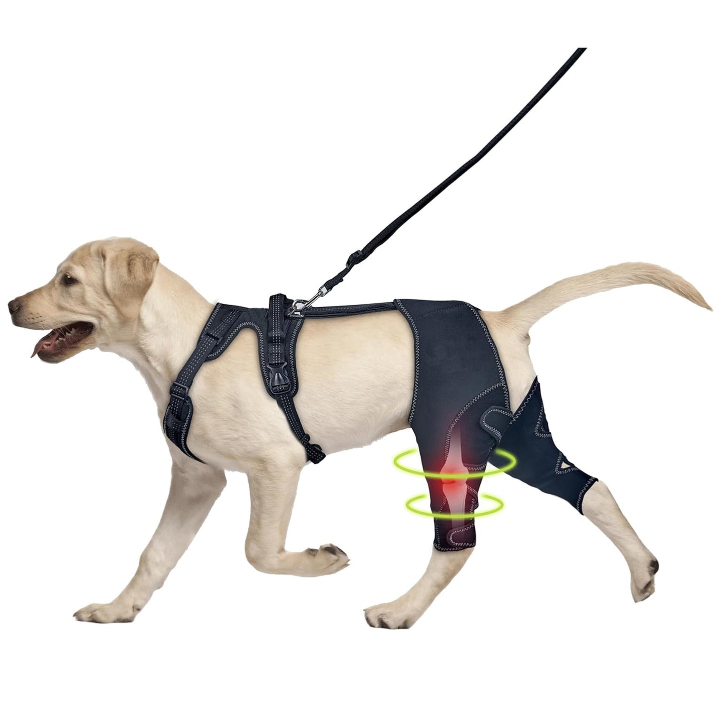 Adjustable Pet Leg Support Guard