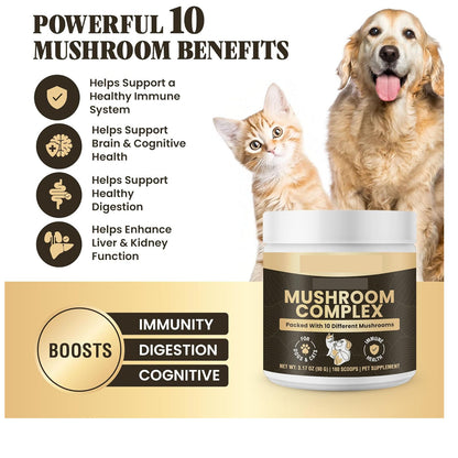 Pet Health Energy Powder