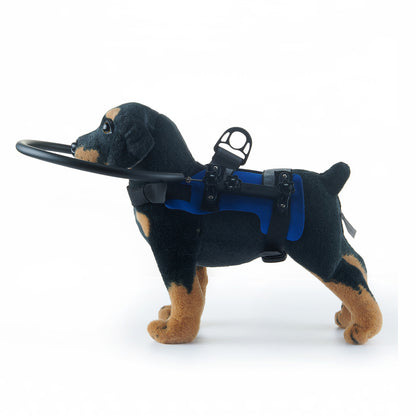 Pet Blind Collision Ring
