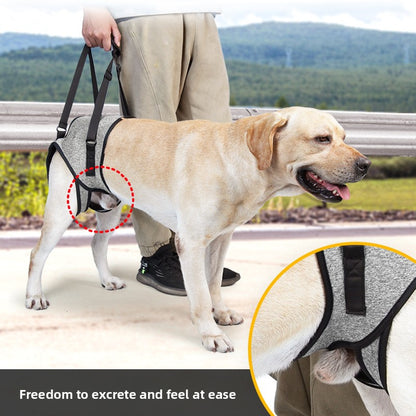 Dog Hindleg Support Strap Rehabilitation Traction