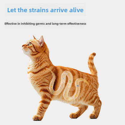 Dog Cat Probiotic Supplement for Digestion