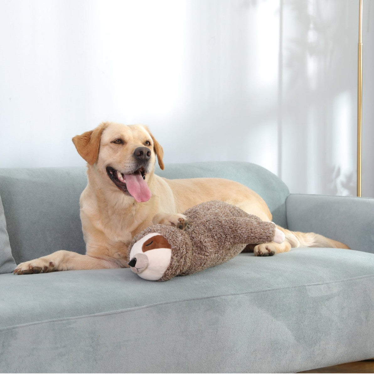 Plush pet toy