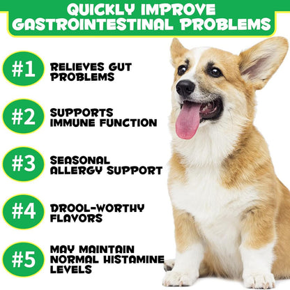 Pet Probiotic Chewable Tablets for Digestive Health