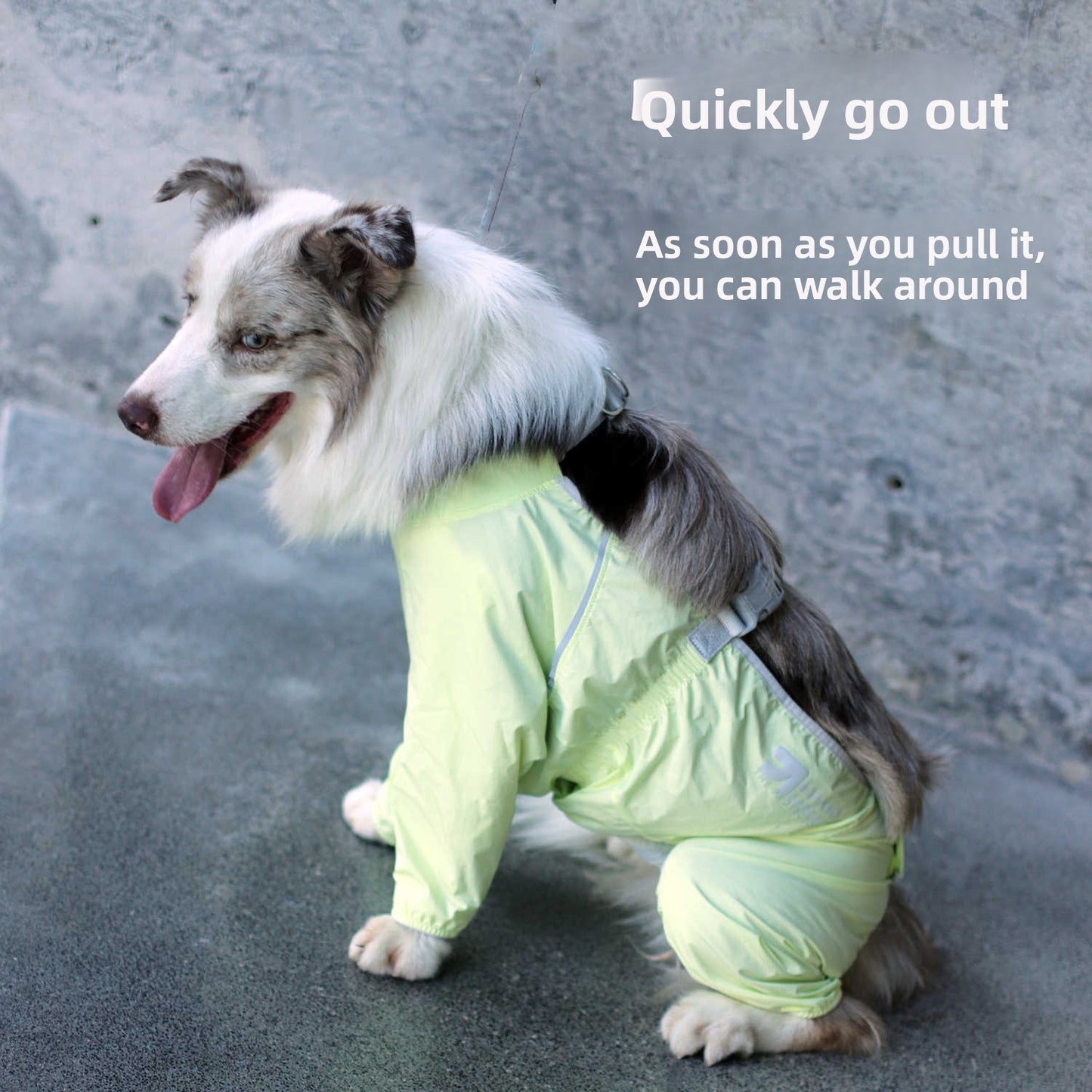 Dog Outdoor Dustproof Pants Four-Legged Waterproof Clothing