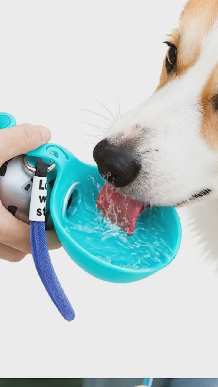 Foldable Portable Pet Water Bottle
