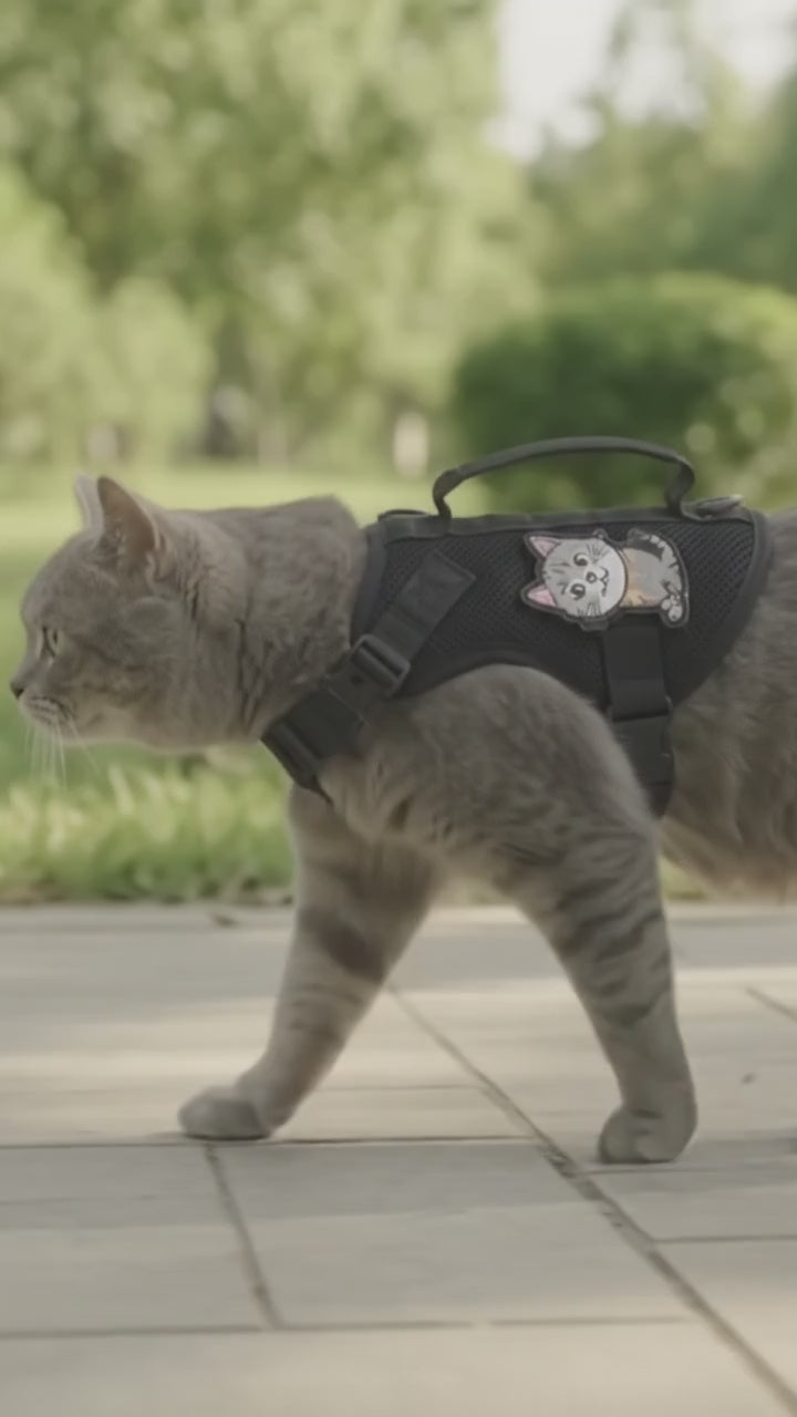 Adjustable Cat Harness with Leash